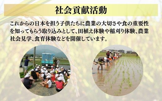 ミルキークイーン＜特別栽培米＞精米 10㎏（減農薬 有機肥料 お米 米 おこめ こめ 白米 みるきーくいーん）【002310】