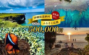 【返礼品なし】沖縄県恩納村ふるさと応援寄附金 500000円
