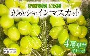 【2026年9月より発送開始】【 訳あり 】 シャインマスカット 4房相当（約1.6kg）  田舎の頑固おやじが厳選！（茨城県共通返礼品 [ぶどう]：結城市産）果物 フルーツ 不揃い わけあり 先行予約 家庭用 フルーツ ブドウ 果物 ぶどう シャイン マスカット くだもの [BI208-NT]
