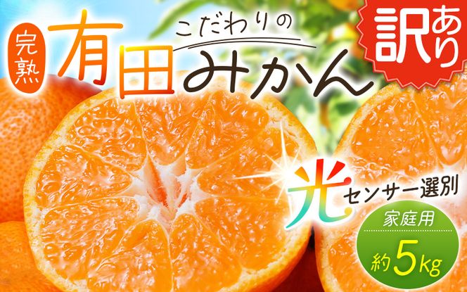 【訳あり】農家直送 有田みかん 約5kg ご家庭用 サイズ混合 ※2026年11月～2027年1月より順次発送予定（お届け日指定不可）※北海道・沖縄・離島への配送不可 訳ありみかん みかん ミカン 蜜柑 柑橘 フルーツ 果物 くだもの 温州みかんサイズ混合 訳ありみかん 温州みかん 有機質肥料100% ふるさと納税 柑橘 有田 産地直送【nuk161E】