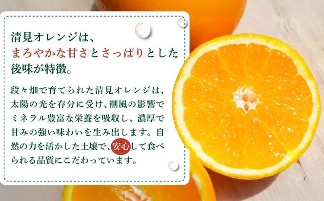【訳あり】清見オレンジ 約10kg ※離島への配送不可 IKTAU011