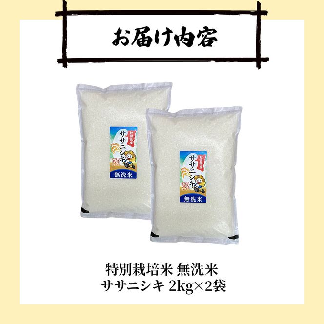 【令和8年産 新米予約】【無洗米】秋田県産特別栽培米ササニシキ4kg（2kg×2袋）新米 お米 おこめ 精米 小分け 特別栽培米