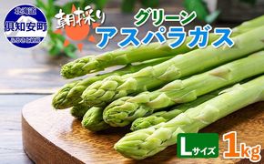 【2026年発送】 アスパラガス 北海道 グリーン 1kg セット Lサイズ 春 限定 旬 朝採り 新鮮 野菜 アスパラ ギフト gift 産地直送 産直 お取り寄せ 詰め合わせ 送料無料 