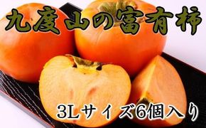≪柿の名産地≫九度山町の富有柿3Lサイズ6個入り
