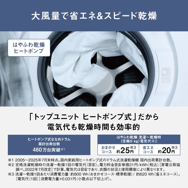 Panasonic ドラム式洗濯乾燥機 左開きタイプ パナソニック Panasonic ドラム式洗濯乾燥機 (左開き) LXシリーズ 洗濯