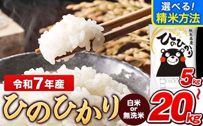令和7年産 【総合ランキング1位獲得】 ひのひかり 白米 or 無洗米 選べる精米方法 内容量 5kg 10kg  20kg 熊本県産 白米 精米 ひの《7-14日以内に出荷予定(土日祝除く)》---gkt_lcl_707_5kg---