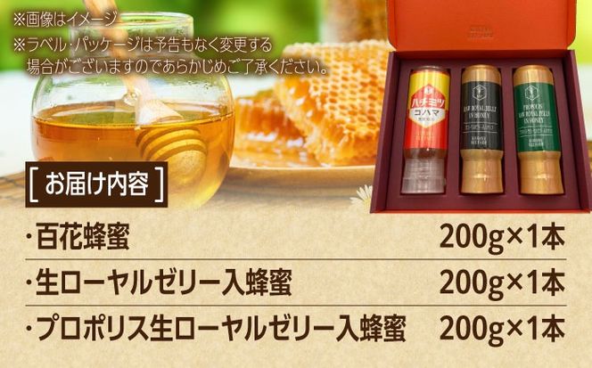 コハマのハチミツ 200g 3本セット 蜂蜜 はちみつ ハチミツ 国産 ギフト 年内発送 沖縄市 / 農業生産法人株式会社小浜養蜂場[BCAQ001] 