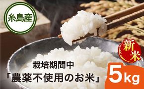 【令和6年産新米】栽培期間中 農薬不使用のお米 ヒノヒカリ 5kg 糸島市 シーブ [AHC005]