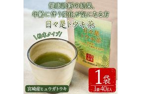 日々是トウキ茶(40g×1袋)お茶 飲み物 粉末 便利 簡単 生薬 ヒュウガトウキ 日本山人参 栽培期間中農薬・化学肥料不使用 宮崎県産 国産【AY-1】【AYA-HIMUCA】