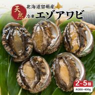 アワビ【産地直送】北海道留萌産天然冷凍エゾアワビ 2～5個 R006-008