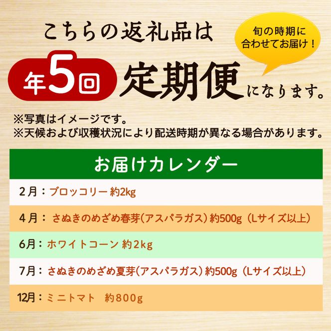 「生活応援企画！」旬のさぬきの野菜定期便（5回） 野菜 定期便 旬 新鮮 食べごろ 季節 ブロッコリー アスパラ アスパラガス 春芽 夏芽 ホワイトコーン  ミニトマト 香川県 東かがわ市