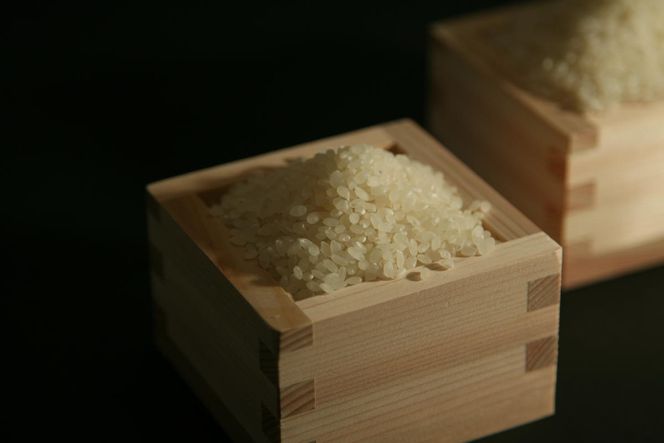 【新米】令和8年産　近江米　コシヒカリ 白米【20kg（10kg×2袋）】【V016W1】（滋賀県　近江八幡市）
