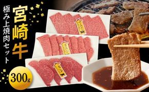 宮崎牛極み上焼肉セット 合計 300g　N0140-YB086