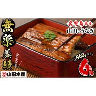 【無薬養鰻】 鹿児島産 山田のうなぎ ＜計960g以上＞ (160g以上×6尾) c2-014
