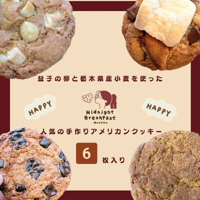おまかせHappyセット　クッキー｜栃木県 益子町 ふるさと納税 クッキー セット 手作り 焼き菓子（CF001-1）