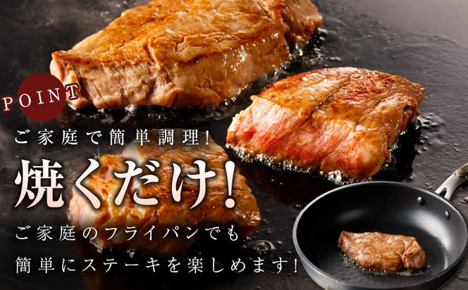 mrz0273 黒毛和牛ヒレステーキセット 合計 300g（ヒレステーキ 200g／ヒレサイコロステーキ 100g）【氷温熟成×極味付け 牛肉 和牛 経産牛 訳あり サイズ不揃い 規格外 数量限定】