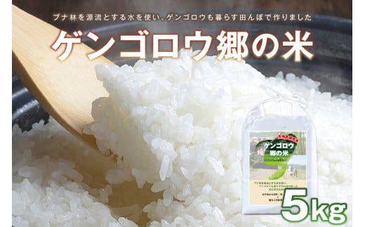 龍谷大学と共同開発／2026年産　京丹後産生物多様性米コシヒカリ「ゲンゴロウ郷の米」5kg箱入　	CM00007