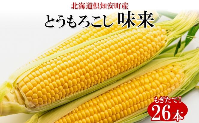 【 2026年 出荷 】 北海道産 朝もぎ イエロー とうもろこし 味来 みらい 2Lサイズ 26本 約10kg 夏野菜 とうきび 新鮮 野菜 トウモロコシ 甘い ギフト 産地直送 コーン 産直 グリーンアースファーム