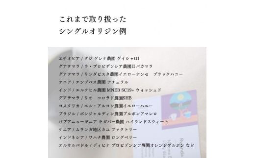 【定期便：6ヶ月連続でお届け】シングルオリジンコーヒー100g × 3品種（豆）計300g×6ヶ月 1075025 コーヒー 珈琲 コーヒー豆