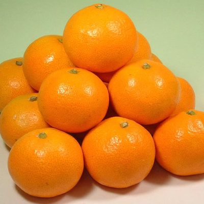 V7444_【2026年先行予約】田村みかん／特選ギフト品10kg【Sサイズ】赤秀