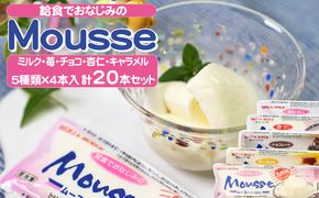ムース 給食でおなじみのムース 5種類20本セット お菓子 スイーツ おやつ デザート 食後 食後のデザート 甘いもの イベント 屋台 食材 アイス 学園祭 文化祭 業務用 家庭用 国産 食べ物 