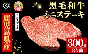 鹿児島県産黒毛和牛ミニステーキ(3人前300g/100g×3枚) a8-091