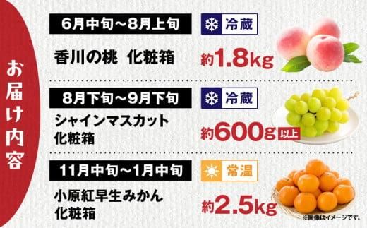 【ALL化粧箱】【3回お届け】高松市自慢のフルーツ定期便【H】 372013_T006-772J