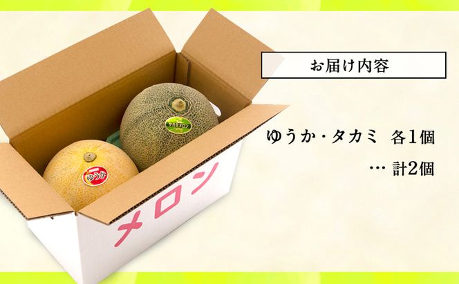【先行予約2026年産】長谷川さんが作ったメロン2個（ゆうか・タカミ）　7月～8月発送　青森県鰺ヶ沢町産 2玉 果物類 フルーツ メロン青肉 