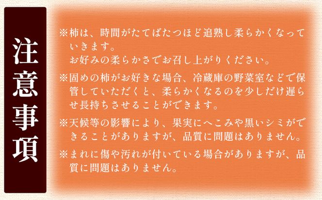 【2026年10月下旬より順次配送】次郎柿 5kg くだもの 果物 フルーツ 柿 かき カキ 5きろ 5キロ 美味しい 栄養 高知県 香南市 nm-0004