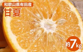 甘夏(あまなつ)秀品[約7kg] 和歌山県有田産 春みかん 【果実サイズおまかせ】｜和歌山県産 柑橘 フルーツ 紀伊国屋文左衛門本舗