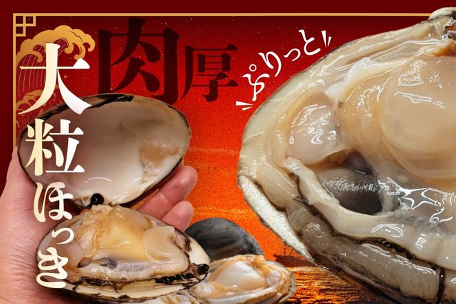 北海道 別海町産 活ホッキ 2.5kg【UY0000025】