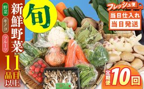 【毎月コース】野菜 キノコ 果物 11品目 詰め合わせ 10回 定期便  / 南島原市 / 吉岡青果[SCZ036]