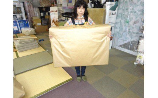 明治6年創業　ワタセのやわらか羽毛ふとん（ブルー）【CW50W】