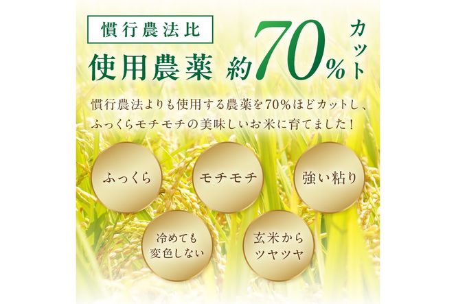 2026年産 京丹後米 特別栽培米夢ごこち10kg（白米）　注文後精米　NO00032