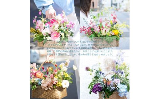 【CF-R7hbk】《3ヵ月定期便》季節の生花バスケットフラワーL バスケット 紙バンドバスケット フラワーバスケット 季節 手作り ハンドメイド ブルースター トルコギキョウ お取り寄せ 生花 プレゼント 贈り物
