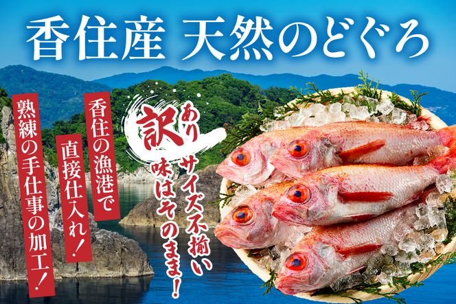 【訳あり のどぐろ 香住産 生冷凍 調理済 少し小さめ（1匹80～100g前後）内容量：5匹～8匹 約600g～700g 冷凍 兵庫県香住産】ご入金確認後、順次発送予定 サイズ不揃い 少し小さめ 日本海で水揚げ 鮮度抜群、脂乗りの良いノドグロを急速冷凍 細胞を壊さず、食品の美味しさをキープ 白身のトロ 産地直送 兵庫県 香美町 香住 柴山 山陰 大人気 ふるさと納税 送料無料 宿院商店 33-14