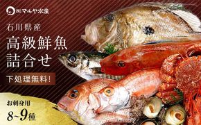 旬の鮮魚詰合せ 8～9種 下処理済み 旬 獲れたて 鮮魚 刺身用 詰合せ セット 海産物 海の幸 魚 魚介 おかず おつまみ 肴 国産 食品 復興 震災 コロナ 能登半島地震復興支援 北陸新幹線 F6P-0039