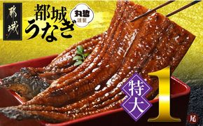 宮崎県育ちの【特大】うなぎ蒲焼1尾210g以上≪山椒・たれ付≫_11-M301