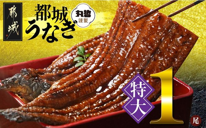 y{茧ssz{茧炿́yzȂ1210gȏREt_11-M301