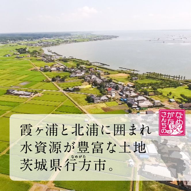 【最短翌日発送】 パックライス コシヒカリ 玄米 160g×18食｜パックライス スピード 茨城県 行方市(HE-6)
