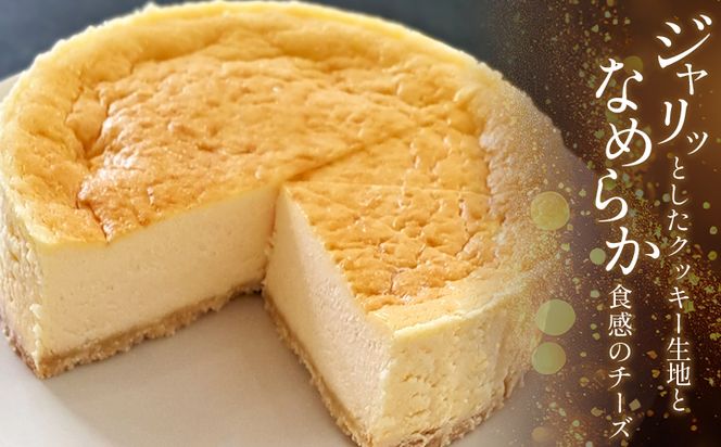 チーズケーキ 6号サイズ 1/2分 5カット - スイーツ 洋菓子 焼き菓子 ベイクドチーズケーキ クリームチーズ 個包装 mongo mongo 高知県 香南市 ベイクドチーズケーキ mo-0005