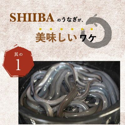 うなぎ蒲焼 4尾 & 蒲焼タレ 2本 セット 国産 安全 ふっくら うなぎ 特製 タレ 土用 丑の日 こだわり 蒲焼き 贈答 贈り物 ギフト 急速冷凍 うな丼 うな重 う巻き ひつまぶし うなむすび 濃厚 冷凍 しいば水産 角長 お取り寄せ 和歌山県 湯浅町 送料無料_BC6007
