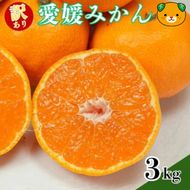 【先行予約：2026年11月中旬～発送】訳あり愛媛みかん 3kg +傷み保証250g 数量限定 温州みかん みかん ミカン 蜜柑 柑橘 不揃い サイズミックス 規格外 愛媛県 愛南町 愛南町青果市場組合