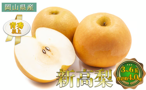 梨 2026年 先行予約 新高梨 3～6玉 青秀以上 合計約4.0kg 梨 なし 果物 フルーツ 岡山県産 化粧箱入り 大きさ 形 おいしさ 梨の王様 大玉 甘い みずみずしく 上品 風味 シャリシャリ 食感 [№5735-1798]