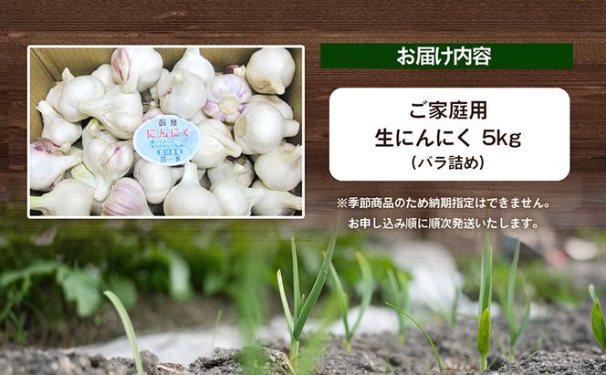 ご家庭用生にんにく 約5kg 野菜 野菜セット 乾燥にんにく ニンニク 約10kg 