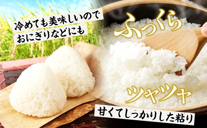 茅ヶ崎市産 はるみ 無洗米 5kg 特A 甘み 粘り つぶ感 しっかり ふっくら つやつや 冷めても美味しい 白米 精米 神奈川県産 お米 米 コメ こめ 大竹農園 神奈川県 茅ヶ崎市