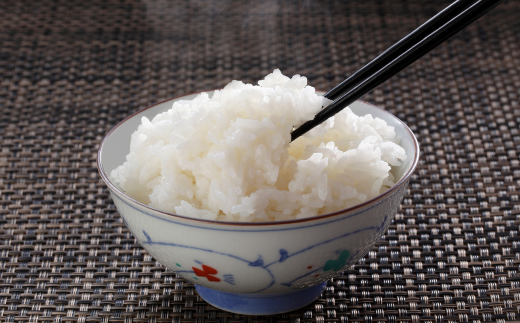 【兵庫県香美町産コシヒカリ】【令和7年産「とろかわの恋（極）」10kg（5kg×2）】 香美町産 但馬堆肥米 お米 白米 令和7年産 ふるさと納税 おすすめ 返礼品 兵庫県 香美町 香住 アグリクロード村岡 13-01