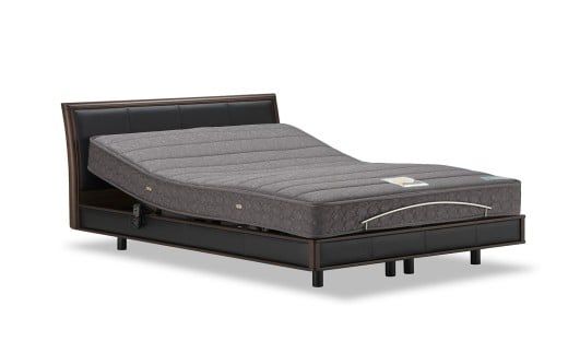 フランスベッド電動リクライニングBO-06（2モーター：背上げ・脚上げ）レッグタイプ　マットレス・手すり付き（ダブル）