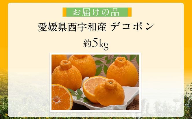 【先行予約】【数量限定】JAにしうわ みつる共選 デコポン 約5kg（化粧箱）※離島への配送不可（2027年2月中旬より順次発送予定） IKTBC008
