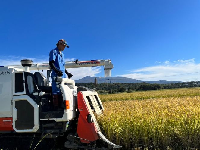【令和8年産 新米予約】【無洗米】秋田県産特別栽培米あきたこまち10kg（5kg×2袋）新米 お米 おこめ 精米 小分け 特別栽培米